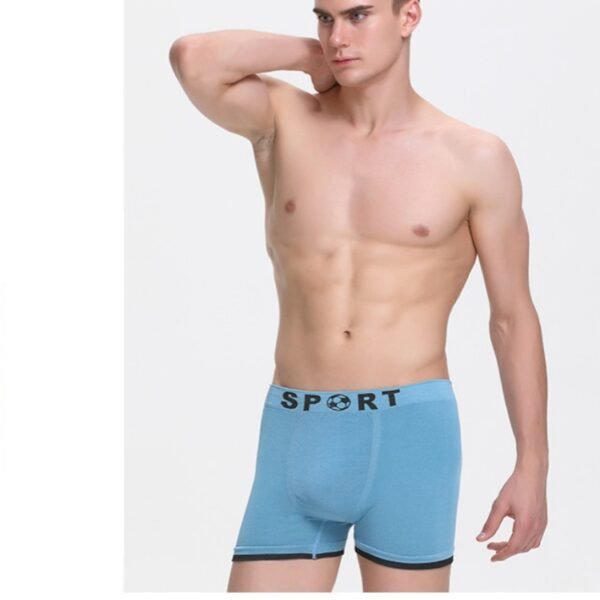 Men's Sporty Performance Boxer Briefs YBM002 - Image 3