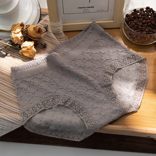 Seamless Lace Brief TLFB001 - Image 3