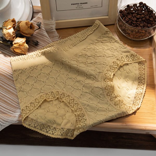 Seamless Lace Brief TLFB001 - Image 4