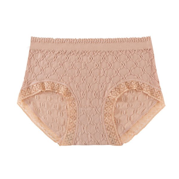 Seamless Lace Brief TLFB001 - Image 2
